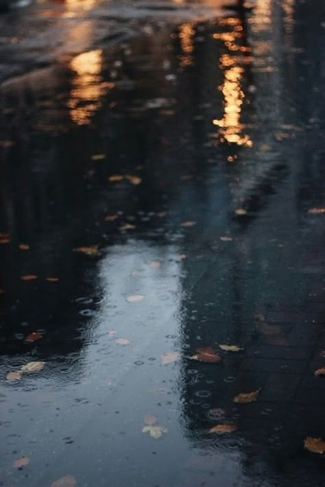 Rainy Mood, Cozy Rainy Day, Rain Pictures, Rain Aesthetic, Rainy Day Aesthetic, Morning Rain, Rain Wallpapers, I Love Rain, Autumn Rain