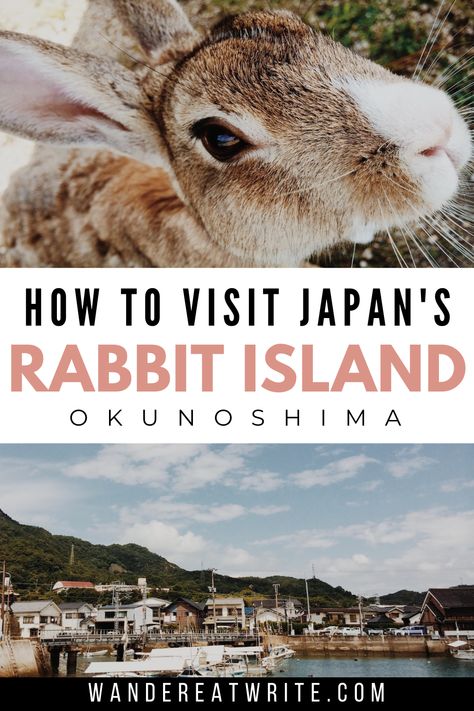 Text: How to visit Japan's rabbit island Okunoshima; top photo: brown rabbit looking up into camera; bottom photo: a Japanese fishing village by the water with a few boats, small pier, and mountain backdrop Fox Island Japan, Rabbit Island Japan, Bunny Island Japan, Animals In Japan, Bunny Island, Rabbit Island, Ski Destinations, Swimming With Whale Sharks, Japan Itinerary