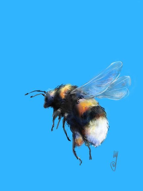 Bumblebee Flying, Bumblebee Animal, Bee Paintings, Bee Tattoos, Honey Art, Bee Painting, Animal References, Bumble Bees, Bee Tattoo