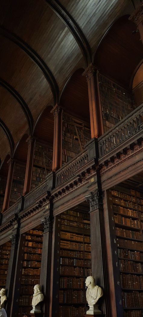 Old Huge Library Aesthetic, Dimly Lit Library, The Long Room Trinity College, Big Old Library, Aesthetic Old Library, Library Old Aesthetic, Old Abandoned Library, Old Library Aesthetic Dark Academia, Massive Library Aesthetic