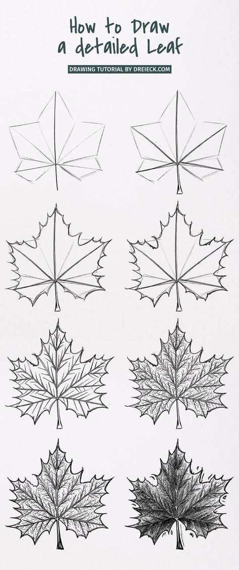 Drawing leaves is always fun, has a calming effect and embellishes any drawing. Whether individually, in wreaths or on trees – leaves bring a natural look and character to the paper. Now it’s time to learn how to draw leaves. Abstract, detailed and in different shapes. To the pencils, ready, go! Draw Leaves, Natural Drawing, Drawing Leaves, Any Drawing, Leaves Sketch, Art History Lessons, Abstract Pencil Drawings, Leaves Abstract, Tree Drawings Pencil