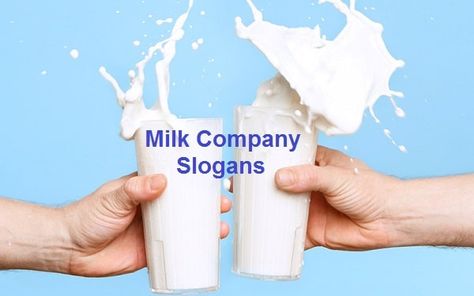 Famous Milk Company Slogans And Sayings Milk Quotes, Healthy Milk, Pure Protein, Protein Nutrition, Energy Boosters, Natural Protein, Protein Treats, Strong Mind, Healthy Smile