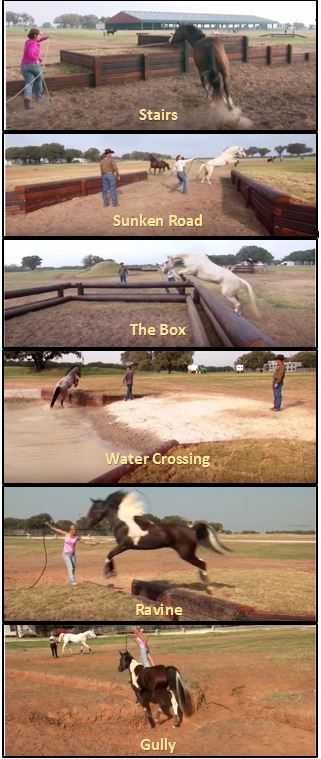 Obstacle course ideas for horses Equine Cross Country, 4 Jump Course, Cross Country Obstacles, Horse Trail Course, Obstacle Course For Horses, Horse Obstacle Course Ideas Trail, Diy Horse Obstacles Ideas, Horse Obstacles Ideas, Trail Obstacles For Horses