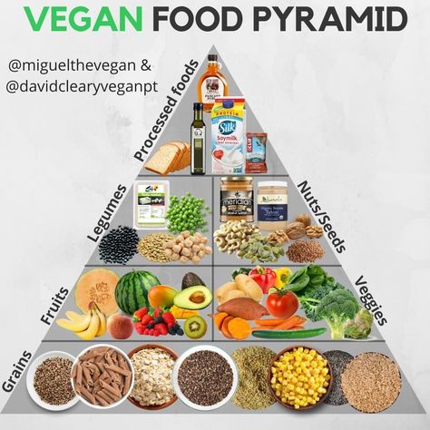 Vegan Fitness & Nutrition Info on Instagram: “Vegan Food Pyramid by @miguelthevegan & @davidclearyveganpt⁠ ⁠ I've teamed up with my good friend @miguelthevegan for this post, be sure to…” Recipes With Nutrition Facts, Vegan Food Pyramid, Nutrition Pyramid, Food Nutrition Facts, Nutritional Information, Food Pyramid, Vegan Nutrition, Vegan Bowls, Vegan Travel