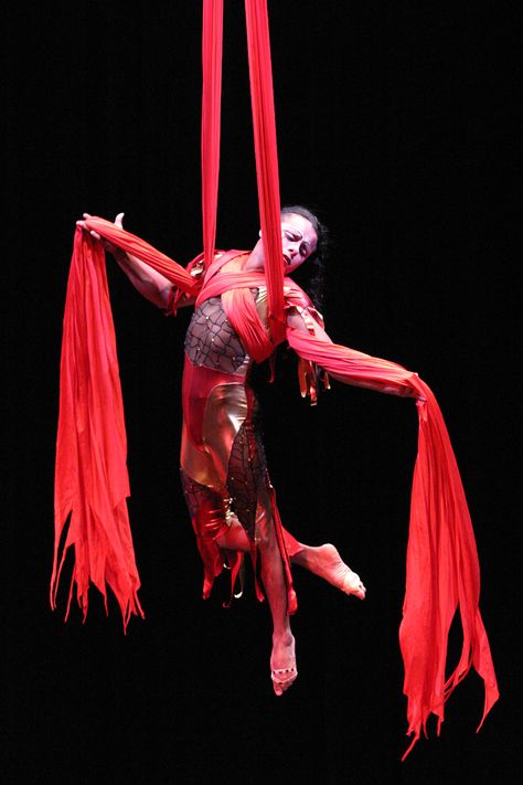 Aerial Acts, Acrobat, San Francisco Moulin Rouge Dancers, Circus Aesthetic, Circus Acts, Aerial Acrobatics, Circus Performers, Aerial Dance, Circus Costume, Aerial Arts, Circus Art