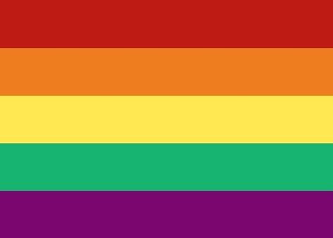 Sunset Flag, Gross People, Lgbtq Flags, Lgbt Flag, Blue’s Clues, Lesbian Flag, Pride Flags, The Sunset, The Rainbow