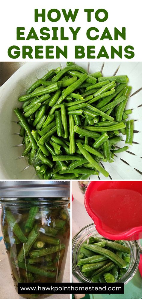 Green beans are one of the best things to come out of the garden in the summer. You can’t beat fresh green beans! Especially cooked in a pot with some ham and potatoes! Canning your fresh green beans to have all winter long is one of the best things about canning. So much better than canned green beans from the grocery store and much healthier. You know exactly what is going into your jar of green beans that you feed your family. Homemade Chili Beans, Peach Pepper Jelly, Bourbon Bbq Sauce Recipe, Canning Green Beans, Garden Canning, Ham And Potatoes, Canned Green Beans, Beans And Potatoes, Pepper Jelly Recipes