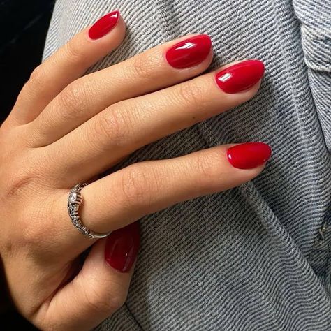 Cool Solid Color Nails, Christmas Nails Cute Xmas, Xmas Nail Colors, Red Nails Aesthetic Vintage, Bright Red Nail Color, Christmas Red Nails Short, Fun Fall Nail Colors, Gel Chrome Nails Short, Red Classic Nails