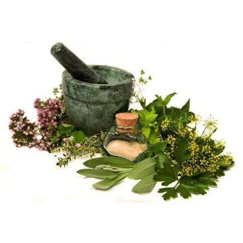 Medicinal Herbs ~15 Variety Seed Set, non GMO's Apothecary Shoppe ❤ liked on Polyvore featuring fillers, witch, food, plants, items, backgrounds, borders and picture frame Medicinal Herbs Garden, Capsicum Annuum, Perennial Herbs, Healing Herbs, Limoncello, Medicinal Herbs, Medicinal Plants, Mortar And Pestle, Natural Medicine