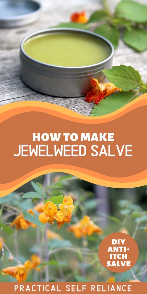 A homemade DIY jewelweed herbal anti itch salve and wild jewelweed flowers in bloom. Burn Salve, Homemade Healing Salve, Herbal Salve Recipes, Healing Salve Recipe, Homemade Salve, Salve Recipes, Herbal Salves, Easy Diet, Healing Salves