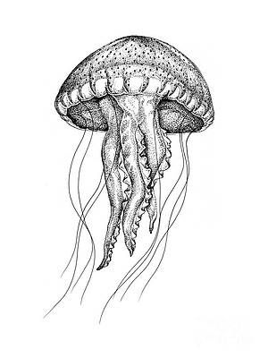 Sea Creatures Drawing, Jellyfish Illustration, Ocean Drawing, Ink Doodles, Scratchboard Art, Stippling Art, Jellyfish Tattoo, Jellyfish Art, Dark Art Drawings