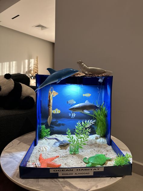 Ocean Habitat Project For Kids Shoebox, Ocean Diarama Ideas Kids, Ocean Habitat Project For Kids, Ocean Habitat Diorama, Diorama Aquarium, Shark Diorama, Ecosystems Diorama, Shark Project, Shark Habitat