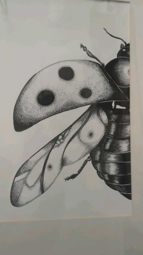 Ladybug Wings Drawing, Bugs To Draw, Insect Drawings, Insects Drawing Realistic, Bug Drawing Realistic, Insect Drawing, Pen Bug Drawing, Bug Drawing, Ant Drawing Realistic