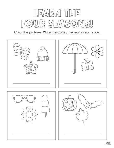 Choose from 51 unique four seasons worksheets and printables to both learn the seasons and display them in your classroom. 100% FREE! First Grade Seasons Activities, Kindergarten Seasons Worksheets, Season Worksheets For Kids, Seasons Worksheets For Kids, Seasons Worksheets For Kindergarten, Season Worksheet, Kg Worksheets, Seasons Name, Seasons Preschool