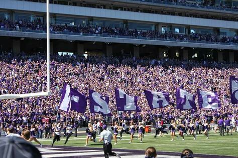 Kansas State University Aesthetic, Kansas State Football, Wildcats Football, Kansas State University, Kansas State Wildcats, Dream College, University Of Kansas, Kansas State, Freshman Year