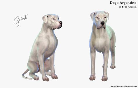 Blue Ancolia, Sims Car, Sims 4 Beds, Sims Pets, Sims Poses, Sims 4 Body Mods, Sims 4 Teen, Dane Dog, Loyal Dogs