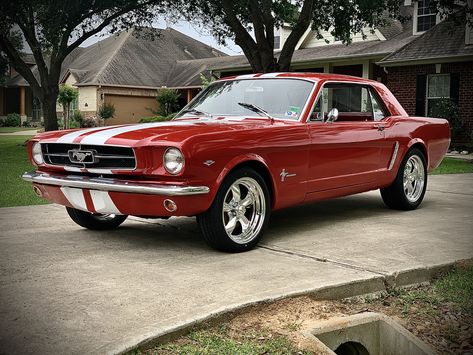 Red Ford Mustang 1967, Old Red Mustang, 1965 Ford Mustang Coupe, 1950s Mustang, 65 Ford Mustang, Old Mustang, Mustang 65, Ford Mustang 1967, Ford Mustang 1965