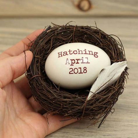 Due Date Easter Egg Idea Easter Pregnancy Announcement Ideas, 1st Month Of Pregnancy, Easter Baby Announcement, Easter Gender Reveal, Baby Photography Ideas, Easter Pregnancy Announcement, New Baby Pictures, Rainbow Baby Announcement, Pregnancy Announcement Ideas