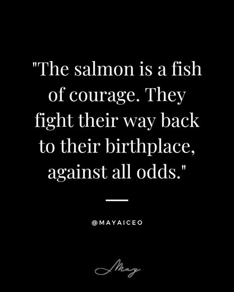 The salmon is a symbol of determination and perseverance. They travel upstream for hundreds of miles to spawn, facing many challenges along the way. #Salmon #Fish #Determination #Perseverance #Nature #MAYAiCEO #Foodie #Yummy Salmon Quotes, Salmon Fish, A Symbol, The Way, Fish, Quotes, Travel, Quick Saves, Nature