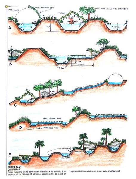 water harvest Plan Potager Permaculture, Water Catchment, Water From Air, Permaculture Gardening, Permaculture Design, Water Collection, Rainwater Harvesting, Forest Garden, Water Retention