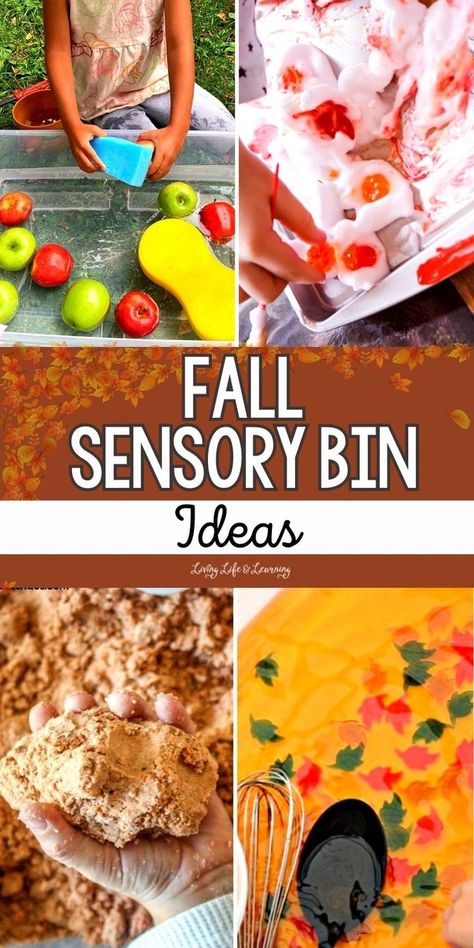 Fall Sensory Bin Ideas Family Learning Activities, Kids Sensory Activities, Sensory Bin Ideas, Fall Sensory Bin, Fall Sensory, Infant Sensory Activities, Senses Activities, Sensory Bags, Sensory Boxes