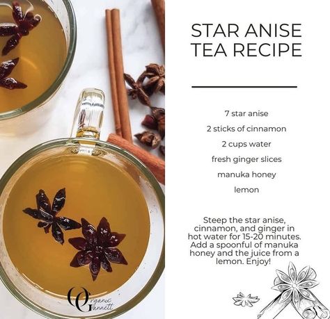 Star Anise Benefits, Anise Tea, Star Anise Tea, Herb Life, Cocoa Drink, Detox Juice Recipes, Ginger Slice, Healing Recipes, Cocoa Chocolate