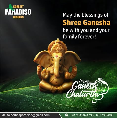 Lord Ganesha Good Morning, Ganesh Chaturthi Greetings, Happy Ganesh Chaturthi Wishes, Write My Name, Fall Wedding Gifts, Blessing Message, Photo Maker, Good Morning Coffee Gif, Happy Ganesh Chaturthi Images