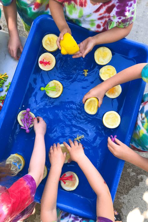 Water Play Preschool, Diy Sensory Board, Room Activities, Infant Room, Baby Play Activities, Make Lemonade, Tuff Tray, Daycare Activities, Easy Toddler