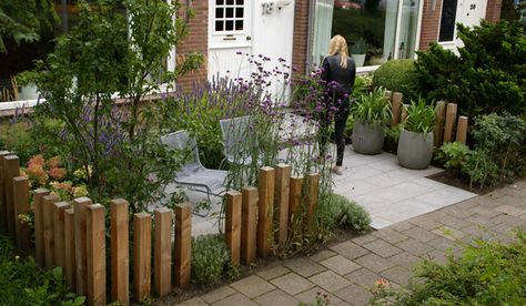 Een klassieke, enigszins truttige voortuin met veel groenblijvers veranderde in een eigentijds plekje met kleurige bloemen. Een aanwinst voor de eigenaren én de straat! En dankzij het zonnige terrasje wordt deze kleine voortuin optimaal benut. Foto’s: Antoon Gouw, Shutterstock Tekening: Antoon Gouw Deze tuin, ontworpen en aangelegd door Antoon Gouw Tuinen, laat zien dat je Lees verder Front Gardens, Small Balcony Garden, Front Garden Design, Australian Garden, Modern Garden Design, Have Inspiration, Garden Borders, Plants And Flowers, Small Garden Design