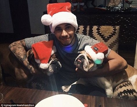 Dogs have made various appearances on Hamilton's social media pages over festive period... F1 Drivers Christmas, Formula 1 Christmas, F1 Christmas, F1 Funny, Lewis Hamilton Formula 1, Australian Grand Prix, Awkward Family Photos, Pampered Pooch, Nico Rosberg