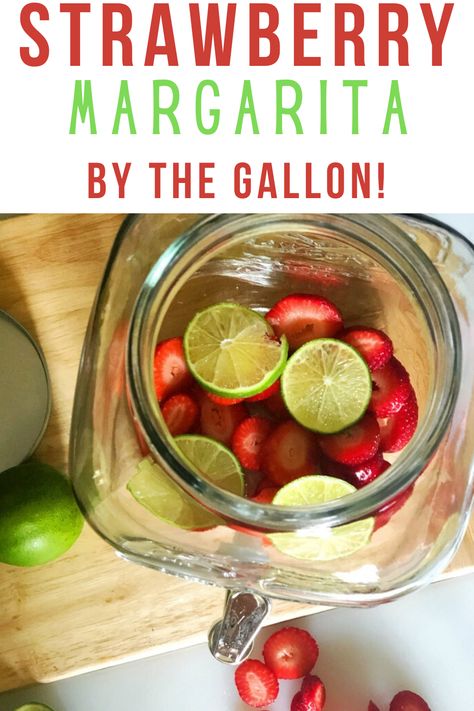 Recipe for a big batch of strawberry margarita - makes 1 gallon of margarita Cocktails By The Gallon, Gallon Margarita Recipe, Cookout Ideas, Strawberry Margarita Recipe, Margarita Drink, Chicory Recipe, Easy Margarita, Batch Cocktails, Party Cocktails