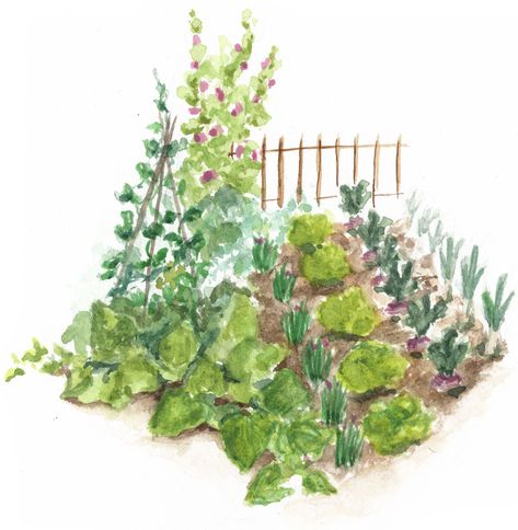 Herb Garden Drawing, Garden Watercolour Painting, Vegetable Garden Watercolor, Vegetable Garden Painting, Circular Diagram, Watercolor Course, Watercolour Garden, Inktober Inspiration, Water Color Markers