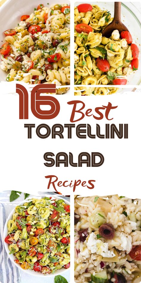 Tortellini Pasta Salad Tortelini Salad, Cheese Tortellini Salad, Reunion Recipes, Tortellini Pasta Salad Recipes, Greek Tortellini Salad, Tortellini Pasta Salad, Picnic Potluck, Classic Pasta Salad, Spinach Tortellini