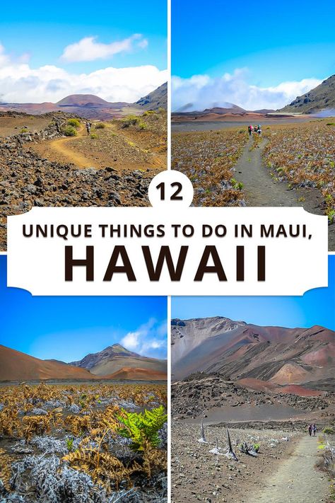 Join us as we explore these 12 things that help make Maui truly unique! Things To Do In Maui, Hawaii Things To Do, Scenic Drive, Maui Hawaii, Unique Things, Hawaii Travel, The Valley, Vacation Trips, Snorkeling