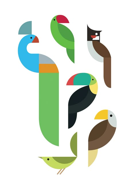 Bird Graphics Volume 3 on Behance Geometric Bird, Dibujo Simple, Bird Graphic, Bird Quilt, 카드 디자인, Geometric Animals, Bird Drawings, Bird Illustration, Graphic Design Posters