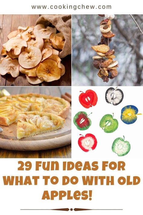 Looking for ideas about what to do with old apples? This post is packed with ideas for fun or delicious things to do with your extra apples! 🍏🍎 Use Up Old Apples, Recipes Using Old Apples, What To Do With An Abundance Of Apples, What To Do With Soft Apples, What To Do With Fallen Apples, What To Do With A Bushel Of Apples, Healthy Recipes Using Apples, How To Use Old Apples, Old Apples Recipe