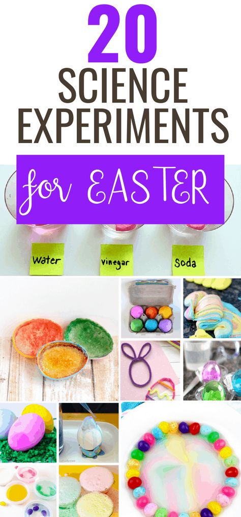 Easter Science Experiments for Kids. If you’re looking for some science fun to do this year during the Easter season, you’ve come to the right place! These Easter Science Experiments are a great way to have some Easter fun while also learning interesting science concepts too! Jelly Bean Science Experiment, Peeps Science Experiment, Easter Science Experiments, Easter Stem Activities, Easter Homeschool, Candy Science Experiments, Science Activities For Toddlers, Easter Stem, Vetenskapliga Experiment