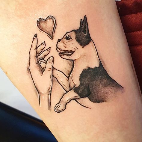 Boston Terrier Tattoo, traditional boston terrier tattoo, tiny boston terrier tattoo, boston terrier tattoo simple, minimalist boston terrier tattoo, boston terrier tattoo outline, boston terrier tattoo ideas, outline boston terrier tattoo, boston terrier tattoo small, small boston terrier tattoo, minimalist small boston terrier tattoo, simple boston terrier tattoo, boston terrier tattoo pictures, outline tiny boston terrier tattoo, geometric boston terrier tattoo, boston terrier tattoo designs Simple Boston Terrier Tattoo, Remembrance Tats, Terrier Tattoo Ideas, Tattoo Ideas Outline, Fox Terrier Chileno, Body Expressions, Boston Terrier Tattoo, Terrier Tattoo, Rottweiler Tattoo