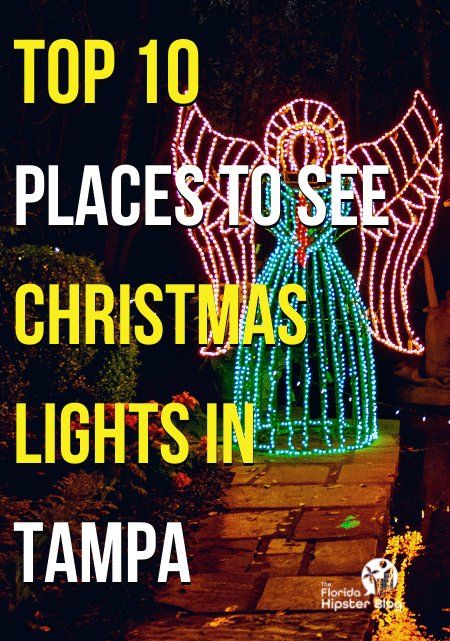 Top 10 BEST Christmas Lights in Tampa You MUST See (2022) - Florida Hipster Christmas In Tampa Florida, Busch Gardens Christmas Town, Florida Botanical Gardens, Tampa Riverwalk, Boat Parade, Ybor City, Best Christmas Lights, Santa And His Reindeer, Christmas Light Displays