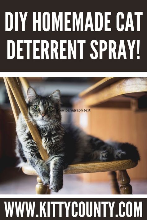 DIY Easy Homemade Cat Deterrent Spray Diy Cat Deterrent Spray For Furniture, Stop Cats From Scratching Furniture, Cat Pee Deterrent Essential Oils, Keep Cat From Scratching Furniture, Natural Cat Repellent Indoor, Pet Deterrent Spray, How To Stop Cat From Scratching Furniture, Cat Repellant For Furniture, Cat Repellant Indoor