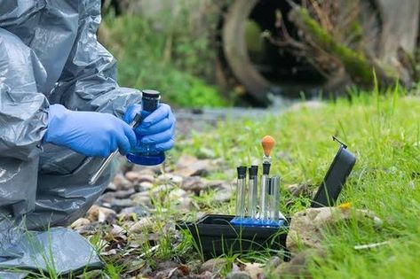 Environmental Science Major, Environmental Scientist, Wildlife Biologist, Environmental Research, Environmental Engineering, Environmental Studies, Earth And Space Science, Management Strategies, Summer Jobs