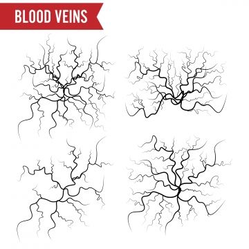 Human Vector, Arteries And Veins, Red Veins, Eye Illustration, Human Icon, Human Drawing, White Set, Color Vector, Seamless Background