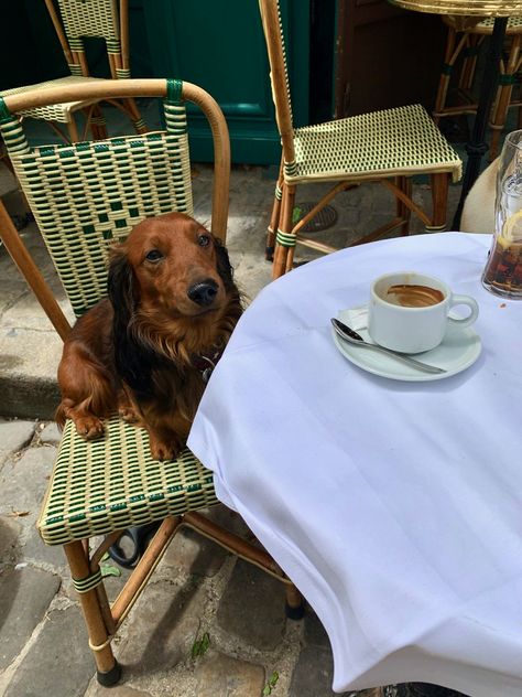 French Girlfriend Aesthetic, Parisian Lifestyle Aesthetic, French Culture Aesthetic, French Lifestyle Aesthetic, Dream Lifestyle Aesthetic, French Girl Lifestyle, Vintage French Aesthetic, French Countryside Aesthetic, French Vibes