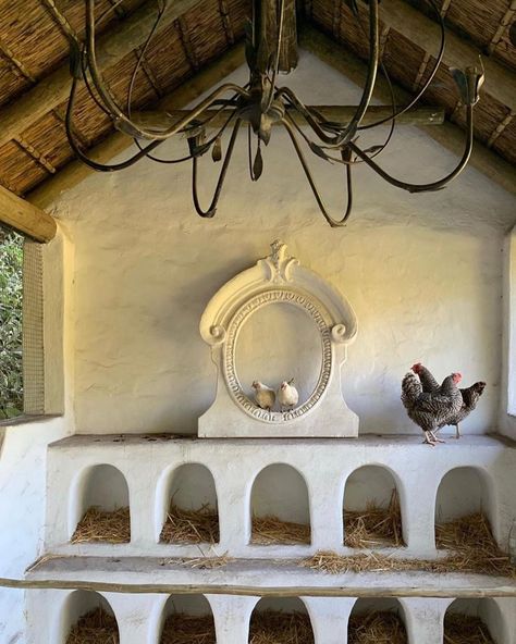 Tone Alexander Design Studio on Instagram: “2019 for me was without a doubt the year of the chicken coop proving  yet again that god does indeed have a sense of humor. What started…” Fancy Chicken Coop, Chicken Shelter, Chicken Roost, Fancy Chickens, Beautiful Chickens, Chicken Coop Designs, Ivy House, Keeping Chickens, Chicken Coop Plans