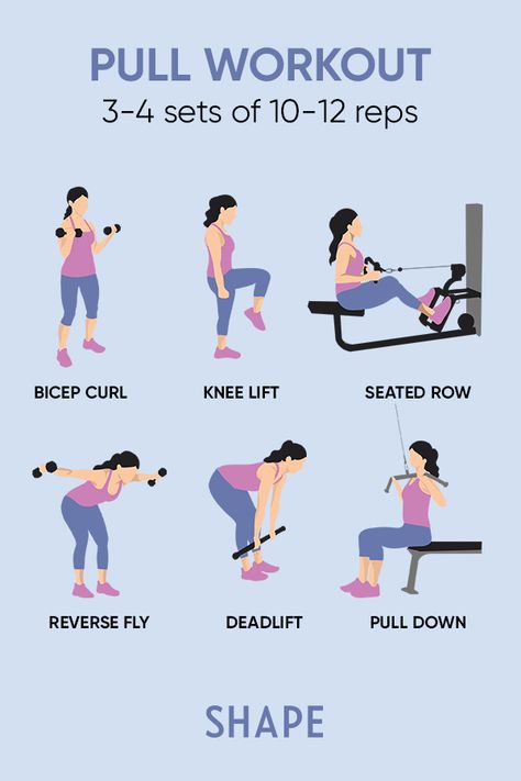 #fitness #gymnist #exercise Push Pull Workout Routine, Push Pull Legs Workout, Push Day Workout, Pull Workout, Push Pull Workout, Pull Day Workout, Pull Day, Workout Fat Burning, Push Pull Legs