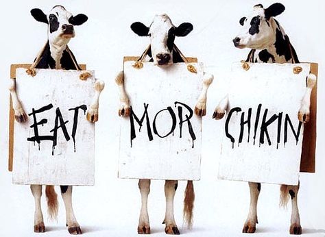 #eat #more #chicken this message is sponsored by the #cow #federation #habal #هبل #habaldotcom Spanish Commands, Spanish Funny, Spanish Posters, Frugal Girls, Spanish Jokes, High School Spanish, Spanish Grammar, Spanish 1, Spanish Learning