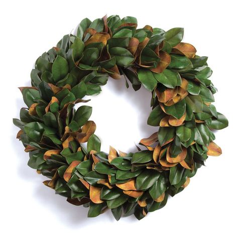 Found it at Wayfair - Gilt Magnolia Leaf Wreath Magnolia Leaf Wreath, Christmas Wreath Decor, Colorful Centerpieces, Magnolia Leaf, Artificial Christmas Wreaths, Magnolia Wreath, Twig Wreath, Magnolia Leaves, Hydrangea Wreath