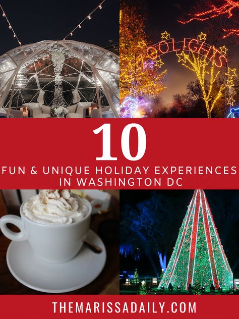 Looking for things to do for Christmas in Washington DC? There are many holiday activities to choose from in the District - whether it's seeing the National Christmas Tree, having cocktails in a plastic igloo, or indoor ice tubing. Get the best ideas for experiences from my curated list! Christmas In Washington Dc, Washington Dc Christmas, Things To Do For Christmas, Weekend In Dc, Santa Bar, National Christmas Tree, Zoo Lights, Hot Cocktails, Warm Apple Cider