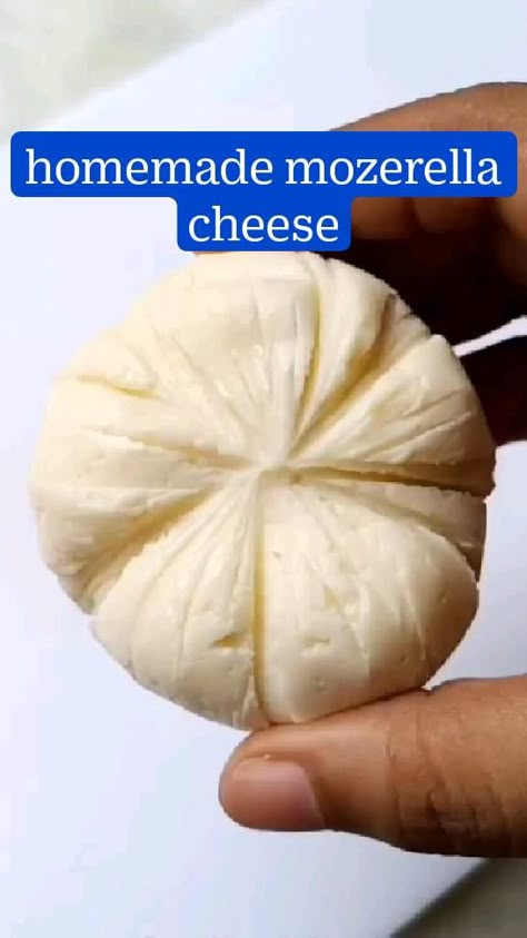 Diy Parmesan Cheese, Easy Cheese Recipes Homemade, How To Make Mozzarella Cheese, How To Make Cheese At Home, Diy Mozzarella Cheese, Home Made Mozzarella Cheese, Home Made Mozzarella, Mozzarella Cheese Recipe, Make Mozzarella Cheese