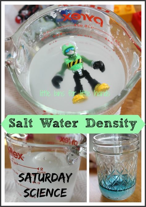 Simple Salt Water Density Science Experiment {Saturday Science} Salt Water Density Experiment, Density Experiment For Kids, Water Density Experiment, Unpoppable Bubbles, Density Experiment, Experiment For Kids, Science Camp, Kid Experiments, Kindergarten Science